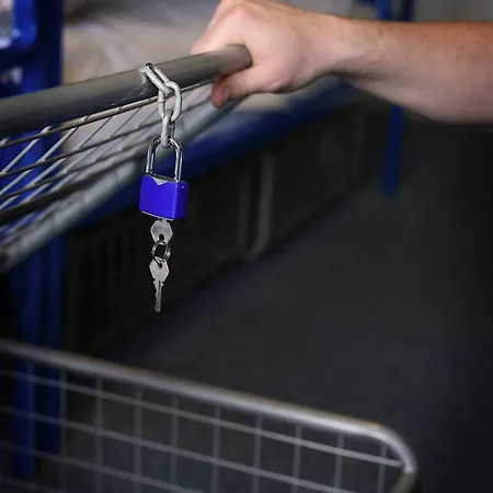 بيت شباب The Dawson